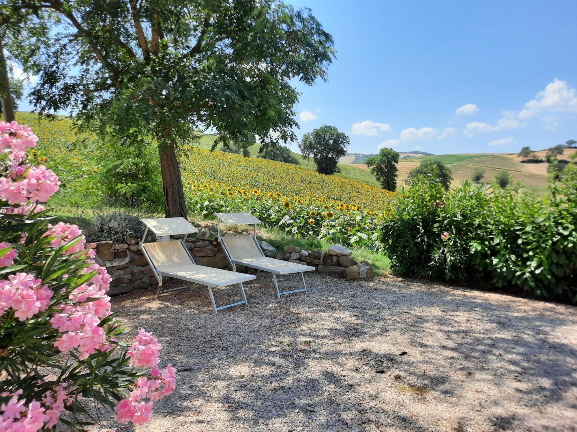 Apartmán Casa Leone San Pietro  Exteriér fotografie